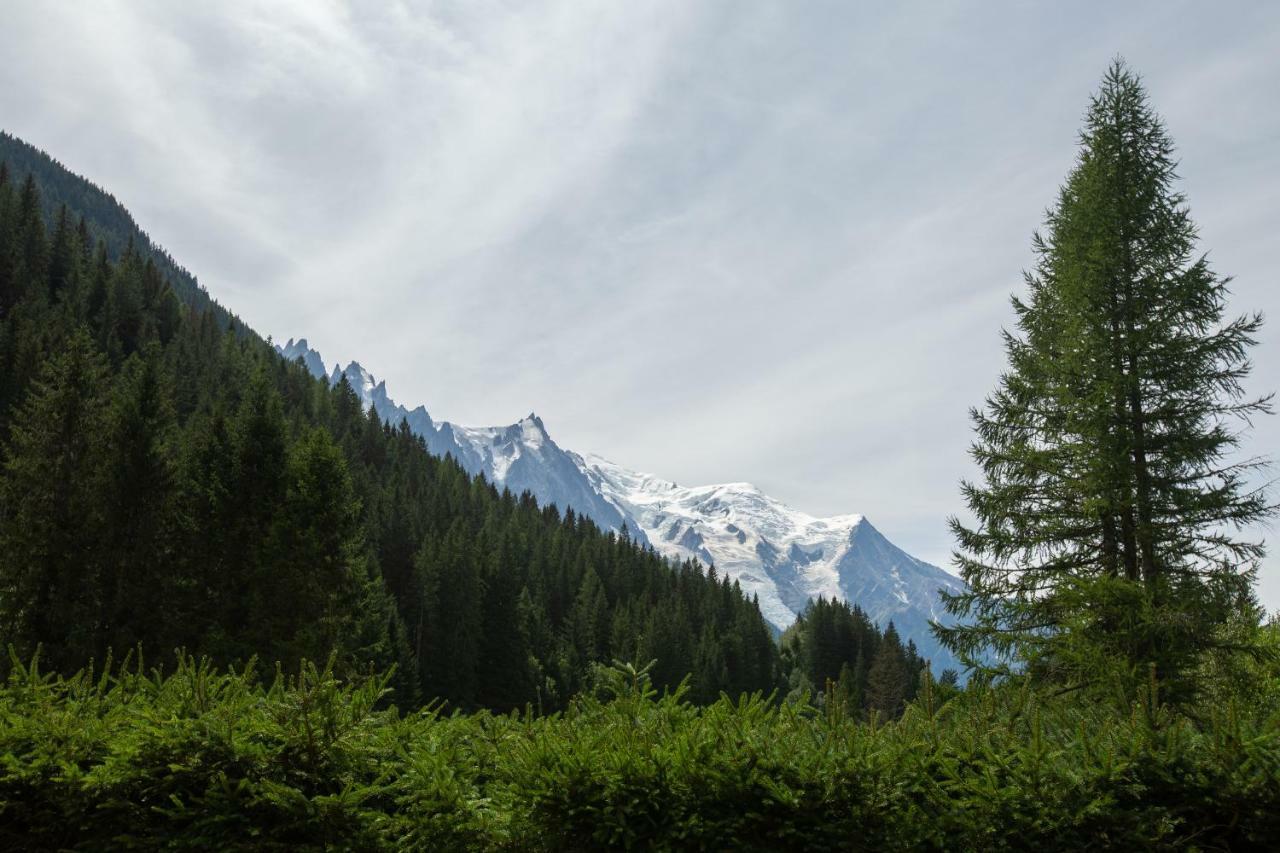 Chalet L'Ilet - Happy Rentals Chamonix Ngoại thất bức ảnh